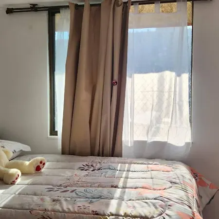 Central Department Flat